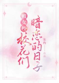 被校花追的少年