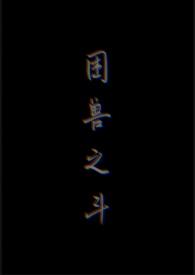 困兽之斗塑料打火机