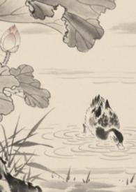 全京城都在等我掉马免费