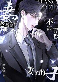老板是不能变成妻子的番外