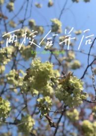 两个学校合并学生都在一起吗