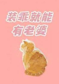 装乖就能有老婆评价