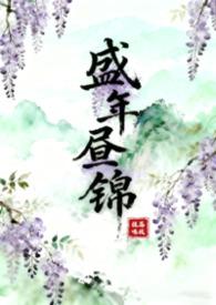 盛年锦时系列
