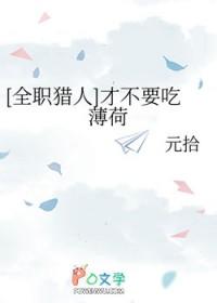 全职猎人abo
