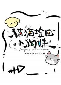 小猫捡回家