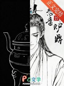 恶毒炉鼎但黑月光君不渝txt