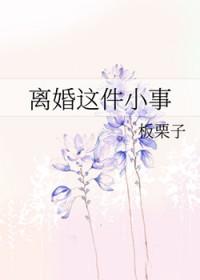 离婚这件小事板栗子免费阅读