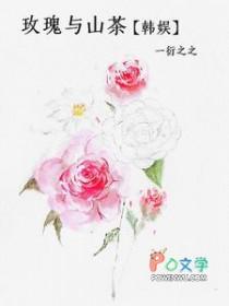 wz与玫瑰