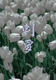 刺萝卜的别名是什么