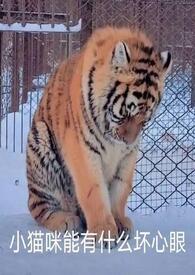 遇虎空蝉
