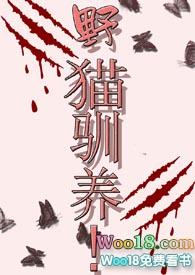 野猫驯养魏承泽免费阅读