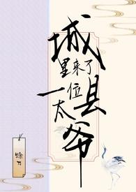 城里来了一位县太爷阅读免费