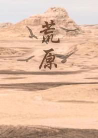 荒原讲什么