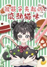 被筷子夹起的流动猫咪(1v2/年下/人外)