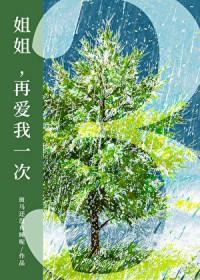 姐姐,再爱我一次3